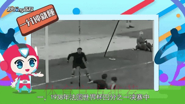 全面解读世界杯比分分析最新网址动态